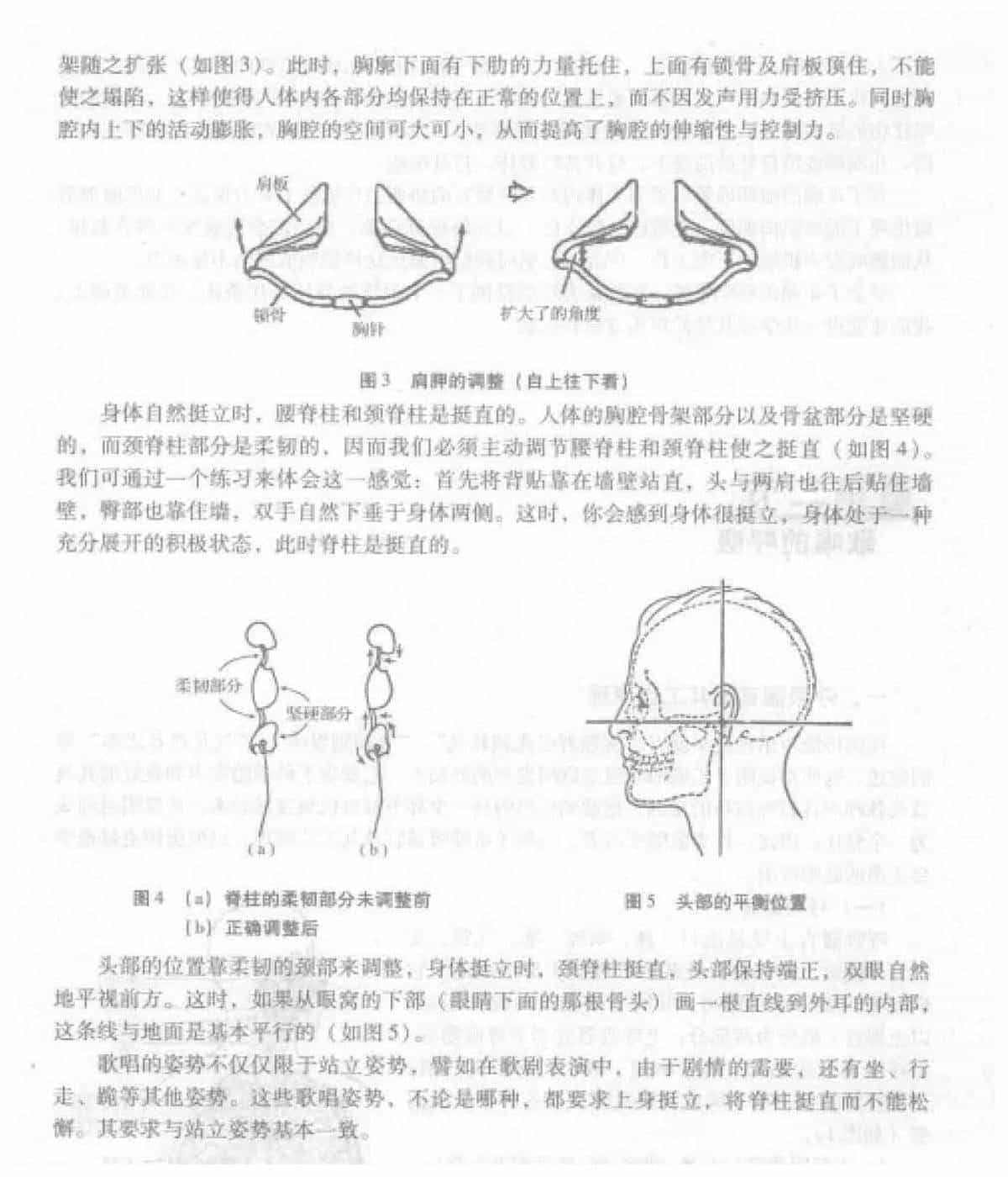 声乐理论教程《歌唱的姿势》_第2张