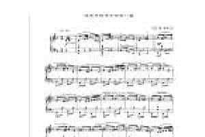 现代手风琴流行乐曲《老洛马纳俱乐部进行曲》[法]狄·维维尼曲