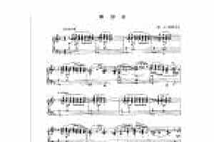 现代手风琴流行乐曲《嬉游曲》[法]A.阿斯蒂尔曲