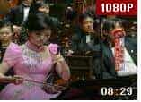 二胡演奏听觉盛宴:二胡名家演奏会