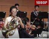 莫扎特降E大调圆号协奏曲 莫扎特协奏曲专场音乐会