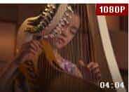 小学生用中国箜篌演奏千与千寻主题曲视频欣赏
