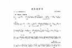 笛子名曲[欢乐的节日&张宝庆编曲]