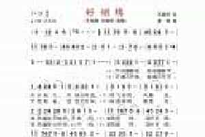 唢呐乐曲【好姻缘】
