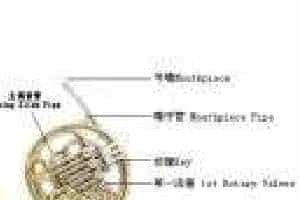 怎样清洁圆号活塞？圆号活塞清洗方法