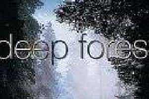 森林物语乐队（Deep Forest）简介