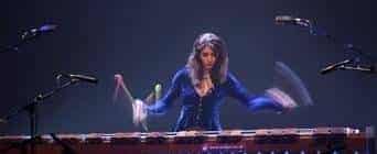 全职敲击乐独奏家伊芙莲·格妮(Evelyn Glennie)简介_第1张