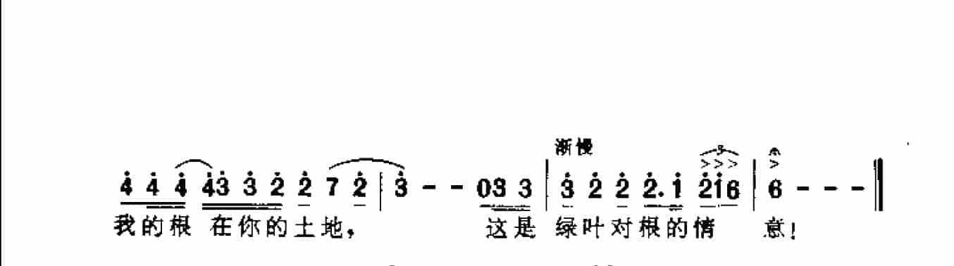 关于祖国的歌谱：绿叶对根的情意_第2张