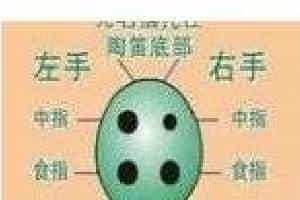 六孔陶笛吹奏手型