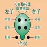 六孔陶笛吹奏手型_第1张