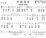 把根留住
