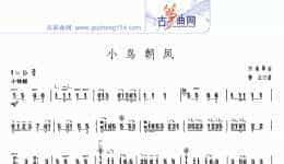 小鸟朝凤