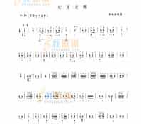 灯月交辉 民乐类 琵琶
