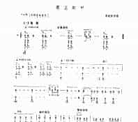 霸王卸甲 民乐类 琵琶