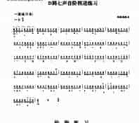 一级练习曲二首 民乐类 琵琶