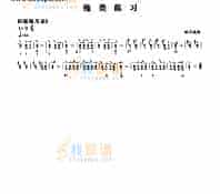 四级练习曲一首 民乐类 琵琶