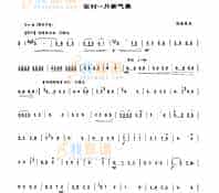 农村一片新气象 民乐类 唢呐