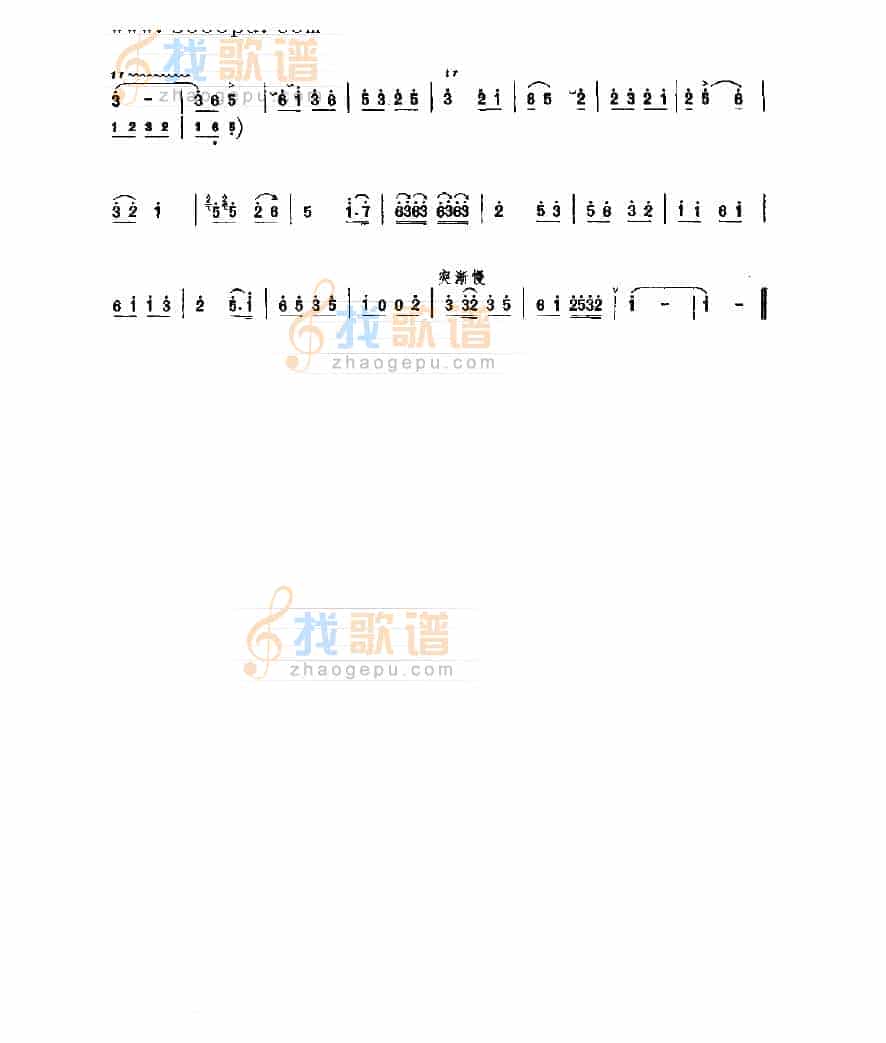 八板 民乐类 唢呐_第4张