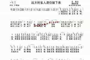 葫芦丝曲谱精选：远方的客人请你留下来