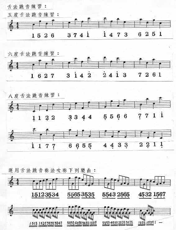 半音阶口琴:舌法跳音篇_第2张