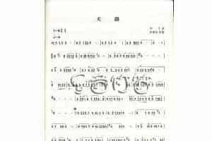 笛子谱：天路