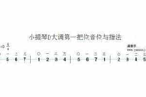 D大调小提琴第一把位音位与指法演示