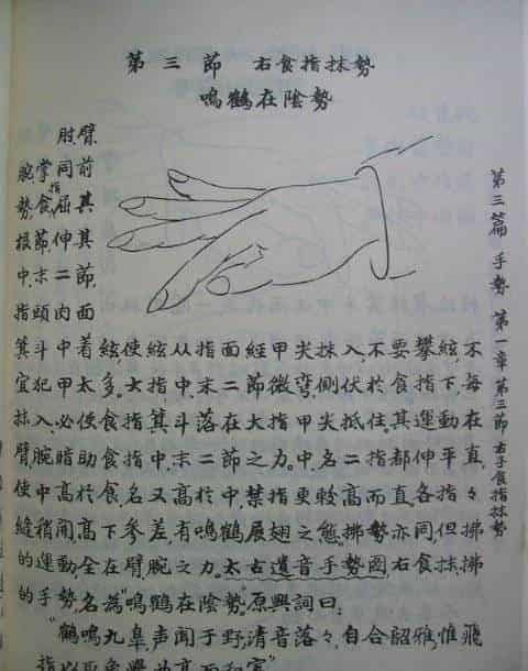 古琴右食指抹势“鸣鹤在阴势”_第1张